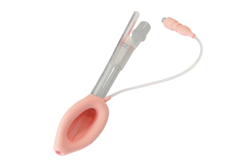 Double lumen laryngeal masks
