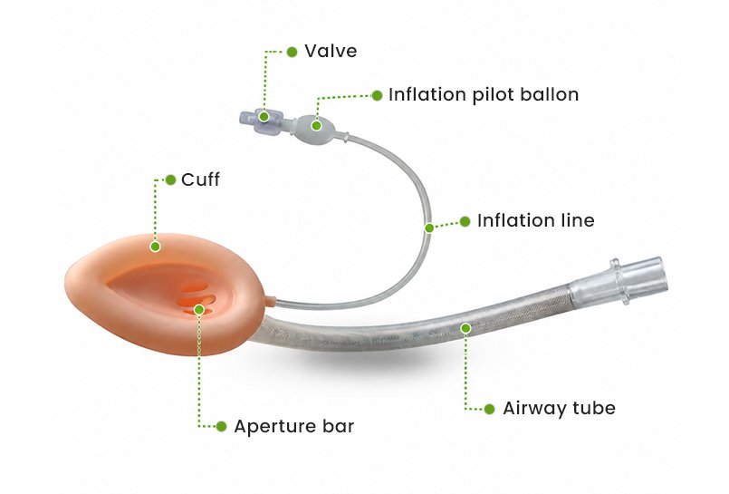 laryngeal mask airway