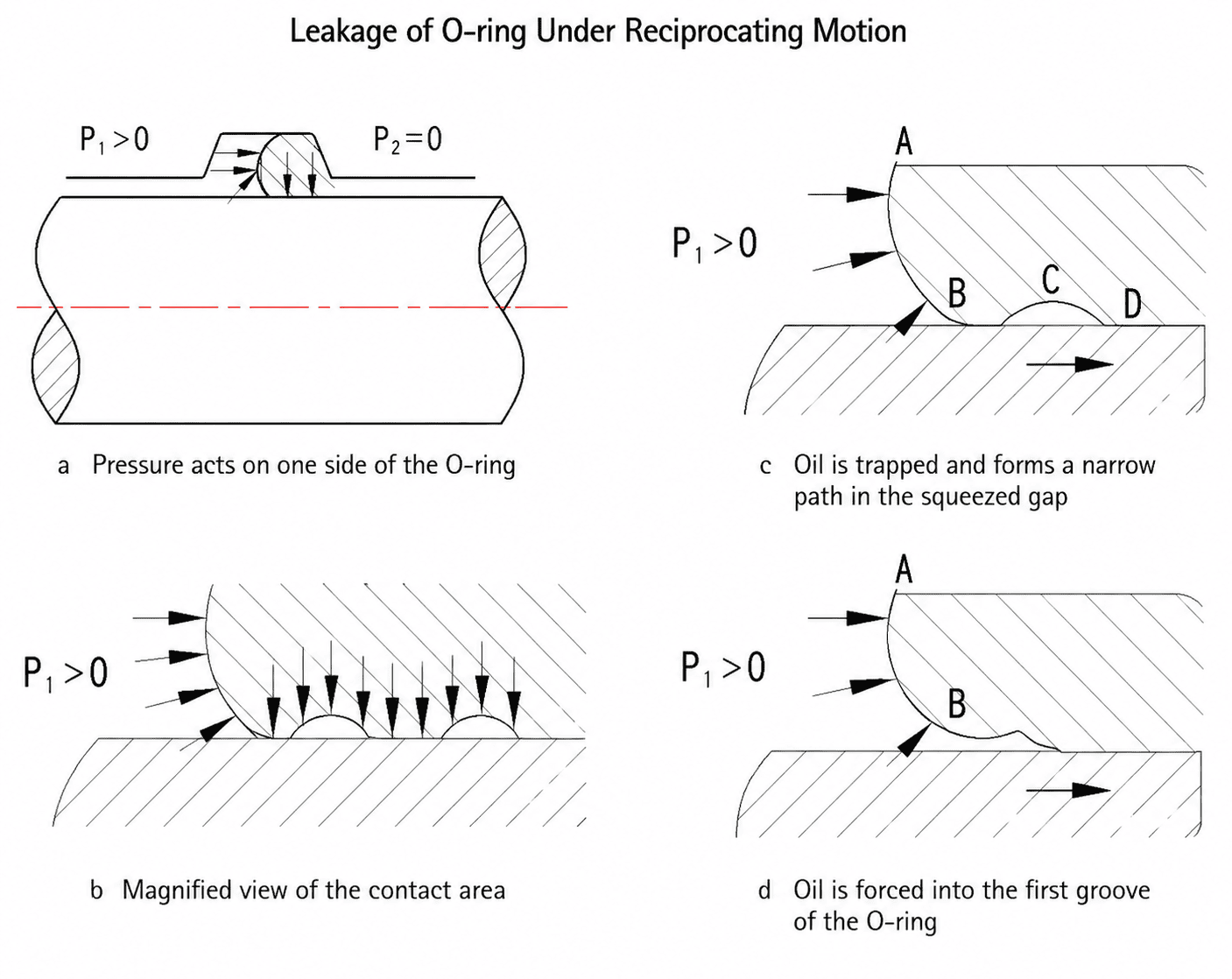 O ring Dynamic Sealing
